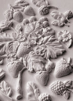WILD BERRIES 6X10 IOD MOULD™