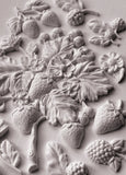 WILD BERRIES 6X10 IOD MOULD™