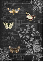 Mechanical Butterflies II- A4