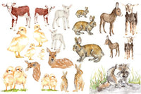 Roycycled Baby Animals Decoupage Paper By Lexi Grenzer Decoupage Tissue