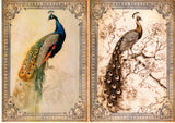 Paper Designs Vintage Birds Rice Paper Kit