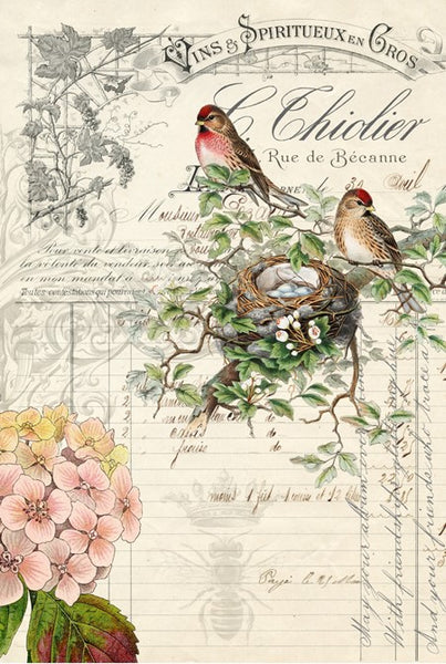 Bird Ephemera Decoupage Tissue