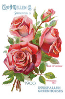Ephemeral Melange Decor Transfer 8x12 Pad