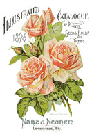 Ephemeral Melange Decor Transfer 8x12 Pad