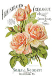 Ephemeral Melange Decor Transfer 8x12 Pad