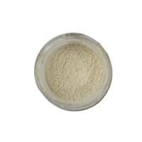 Posh Chalk Precious Pigment