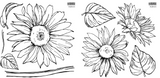 SUNFLOWERS 12×12 IOD STAMP™ Two Stamp Set