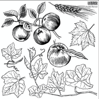 Fruitful Harvest 12x12 IOD Stamp™