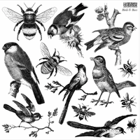 BIRDS & BEES 12×12 IOD STAMP™