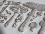 TOADSTOOL 6X10 IOD MOULD™