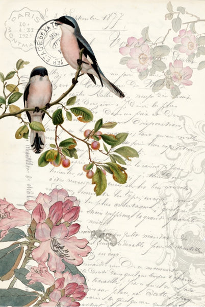 Spring Bird Ephemera Decoupage Tissue
