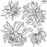 Chrysanthemum 12x12 IOD Stamp™ - set of 2