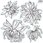 Chrysanthemum 12x12 IOD Stamp™ - set of 2