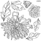 Chrysanthemum 12x12 IOD Stamp™ - set of 2
