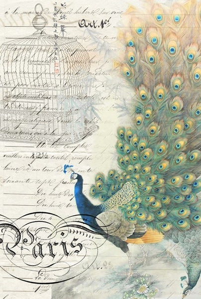 Peacock Ephemera Right Decoupage Tissue