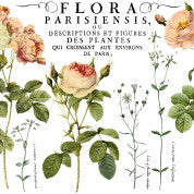 Flora Patisiensis Decor Transfer 24x33