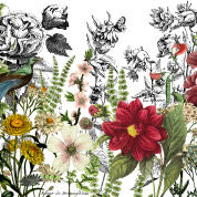 Midnight Garden Decor Transfer