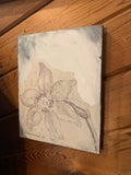 Botanical Equine Decoupage Tissue