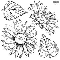 SUNFLOWERS 12×12 IOD STAMP™ Two Stamp Set