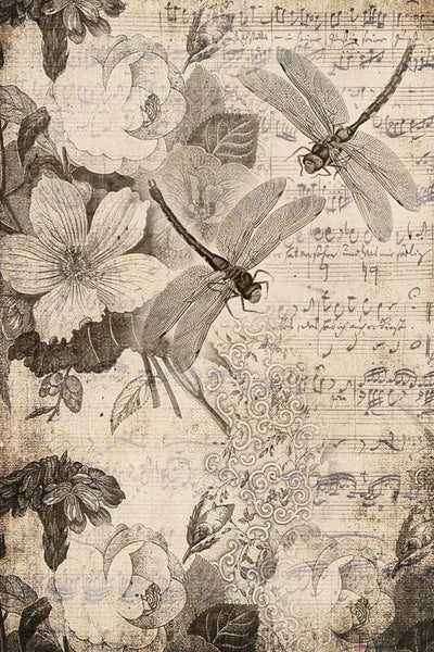 Musical Dragon Flies Decoupage Tissue Paper